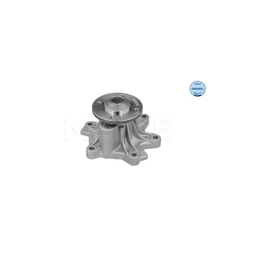 Meyle 313 220 0010 Water Pump