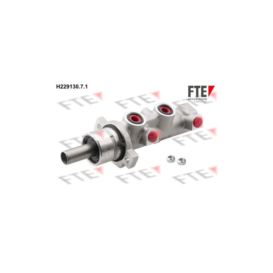 Fte H229130.7.1 Brake Master Cylinder | ML Performance UK Car Parts