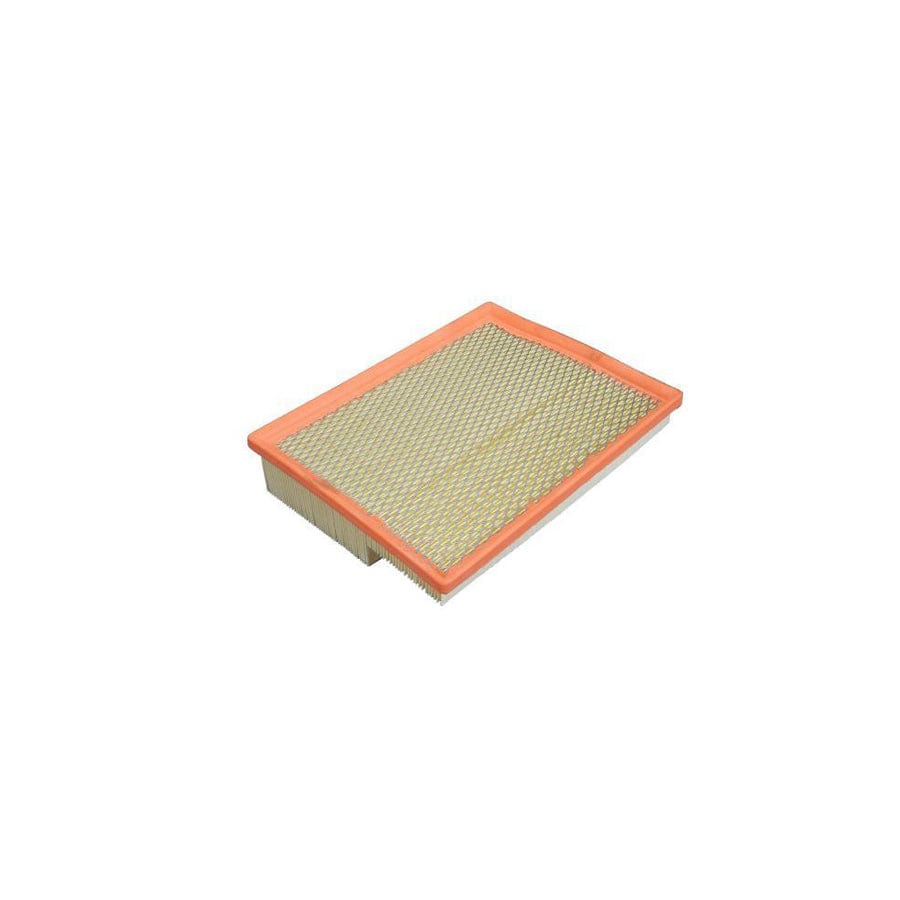 AUTOMEGA 180073010 Air Filter | ML Performance UK Car Parts