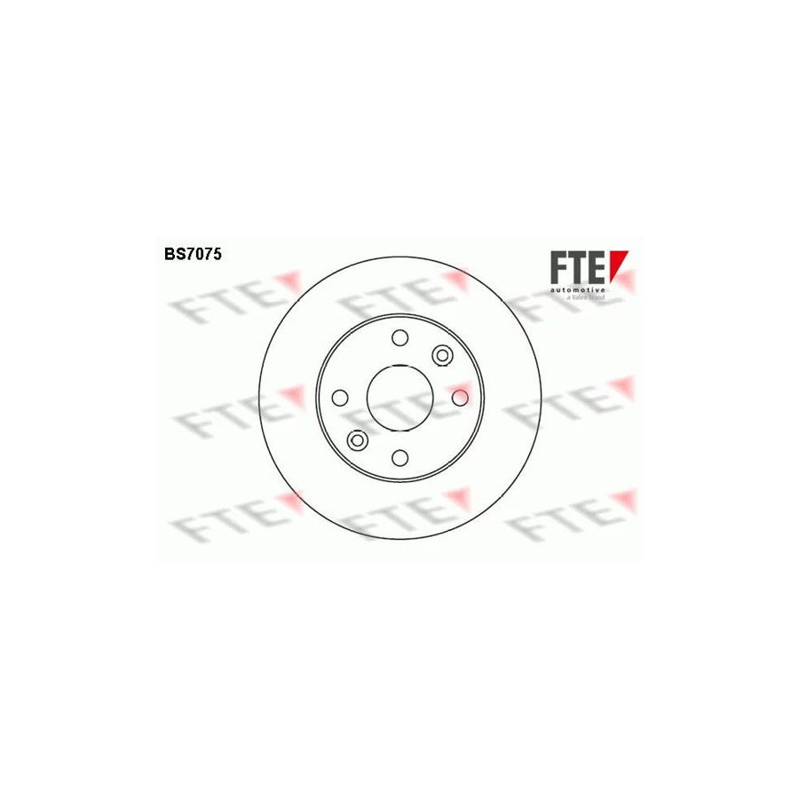 Fte BS7075 Brake Disc For Kia Rio | ML Performance UK Car Parts