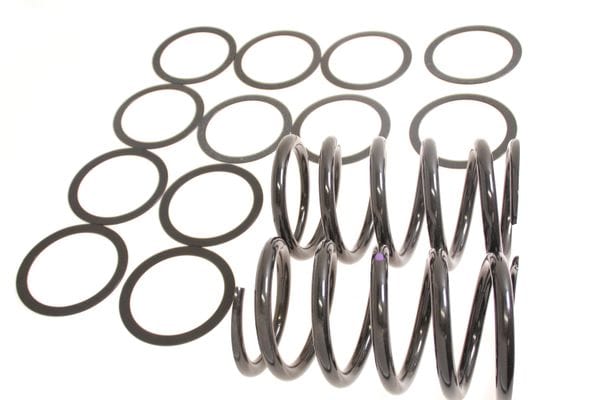 Aston Martin 23-83484 DB7 I6 Front Road Spring Kit | ML Performance UK Car Parts