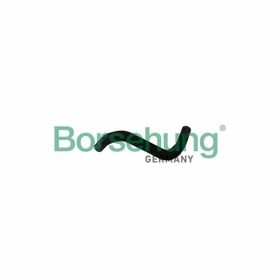 Borsehung B11986 Radiator Hose