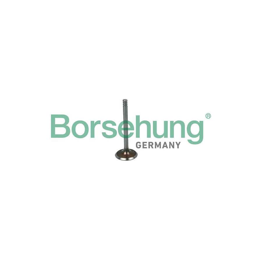 Borsehung B19031 Inlet Valve