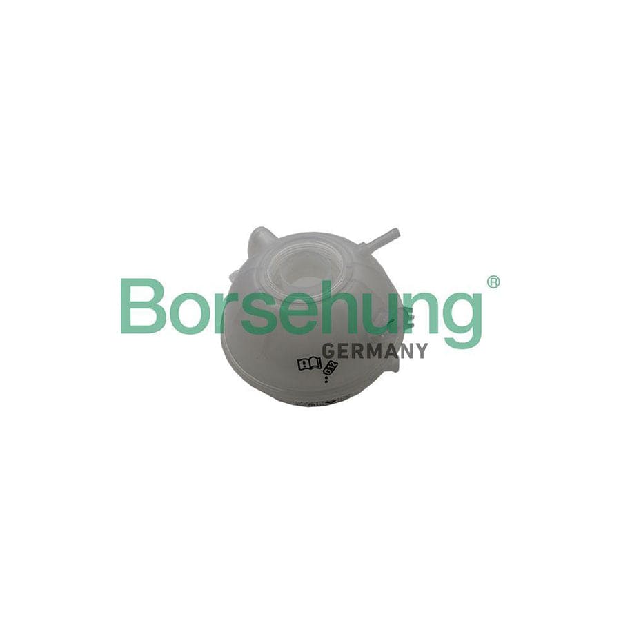 Borsehung B19061 Coolant Expansion Tank