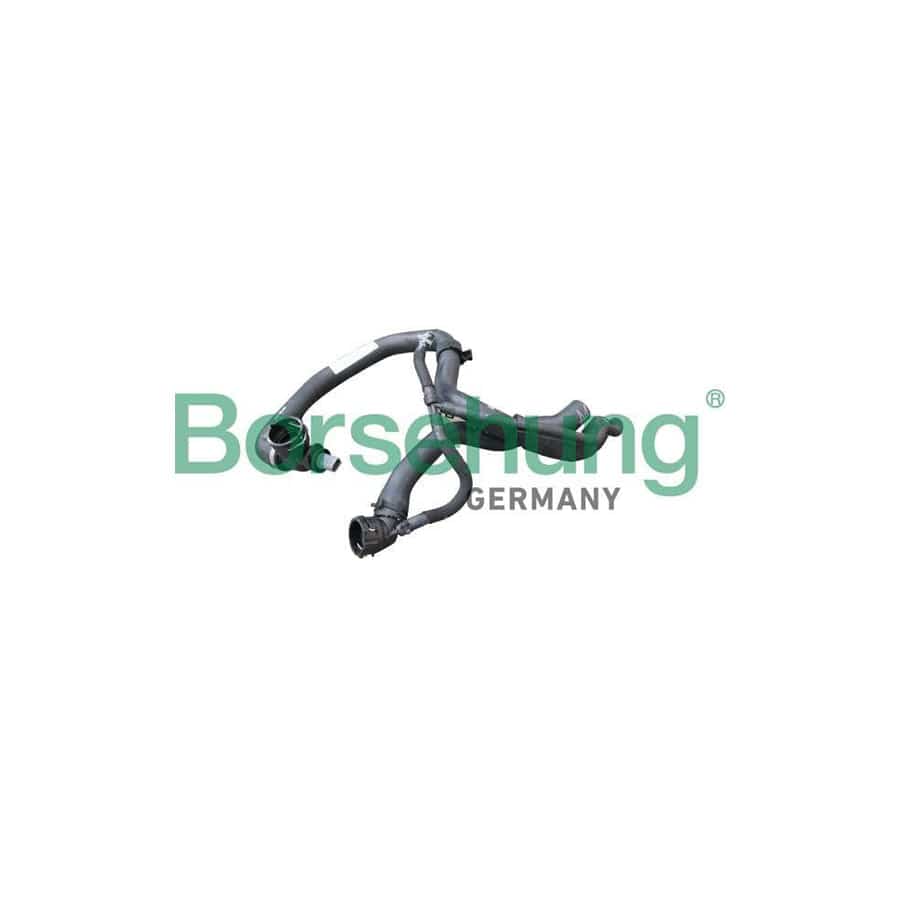 Borsehung B11985 Radiator Hose