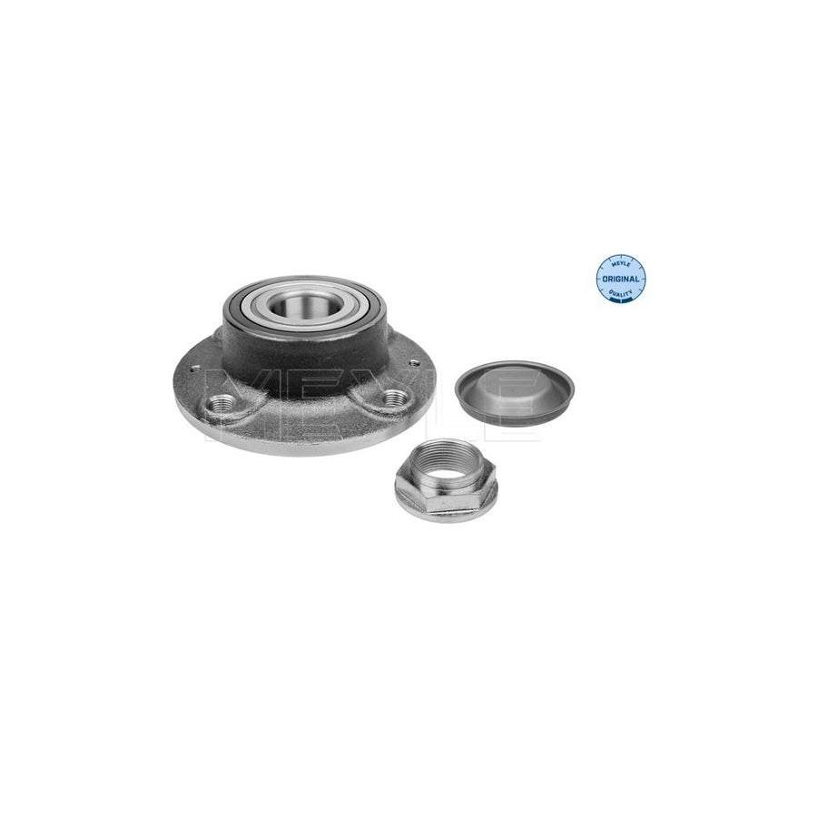 Meyle 40-14 750 0001 Wheel Bearing Kit For CitroÃ«n C5