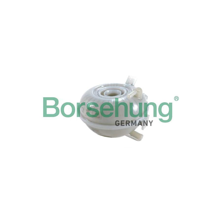 Borsehung B19060 Coolant Expansion Tank