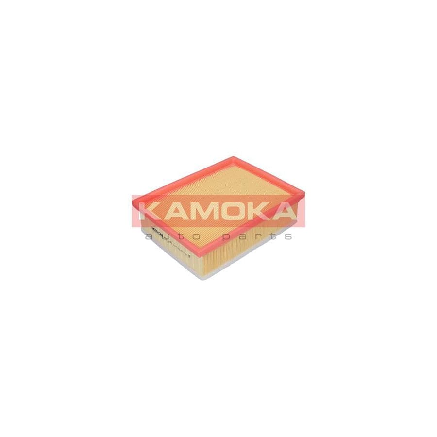 KAMOKA F221101 Air Filter | ML Performance UK Car Parts