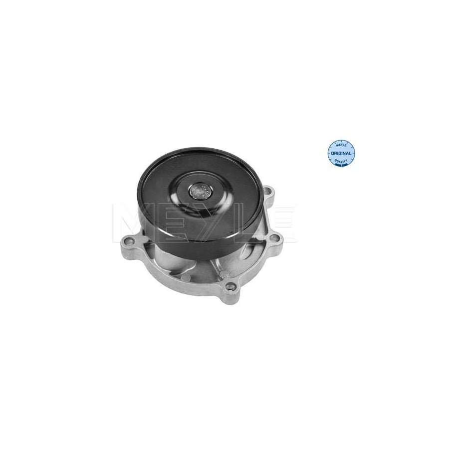 Meyle 313 220 0020 Water Pump