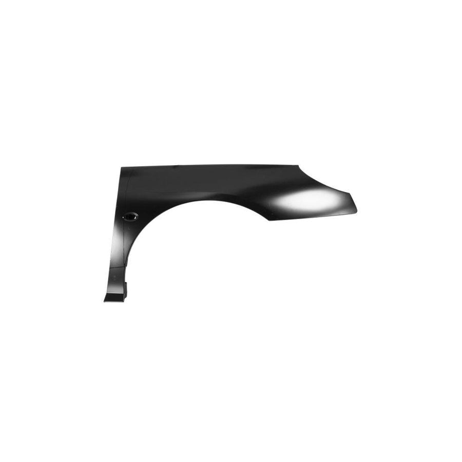 Blic 6504-04-5537312Q Wing Fender For Peugeot 407