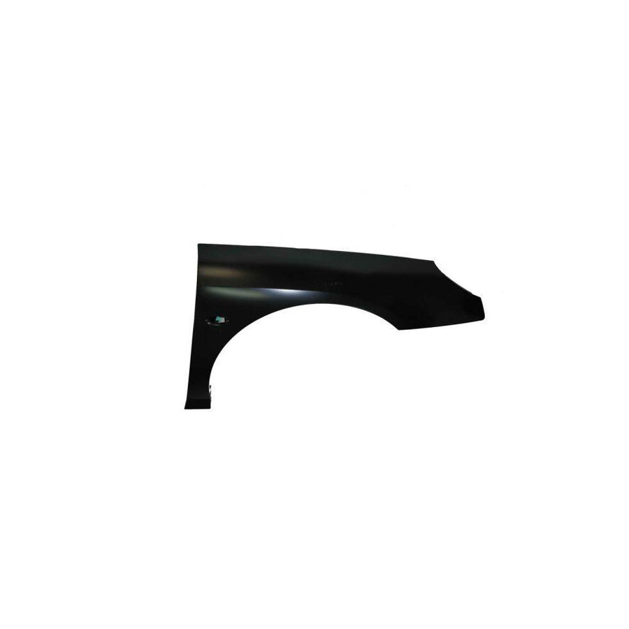 Blic 6504-04-5537312P Wing Fender For Peugeot 407