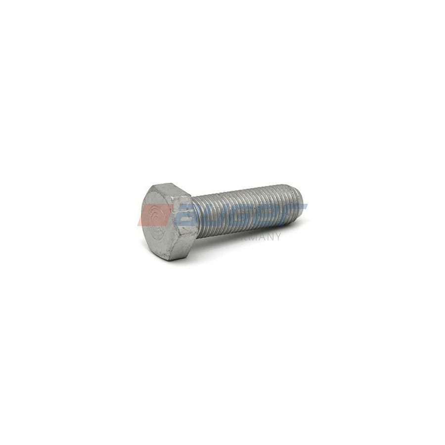 Auger 59241 Screw