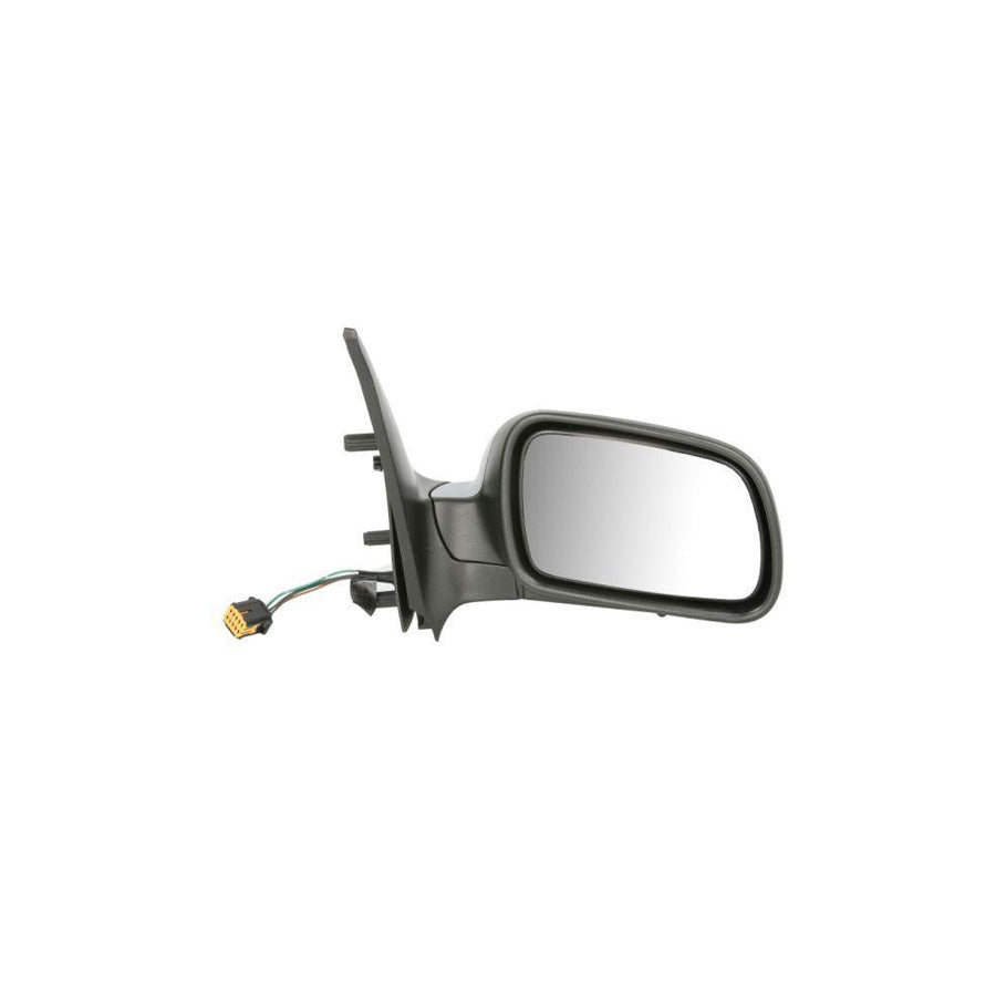 Blic 5402-04-1112315P Wing Mirror For Citroen Xsara