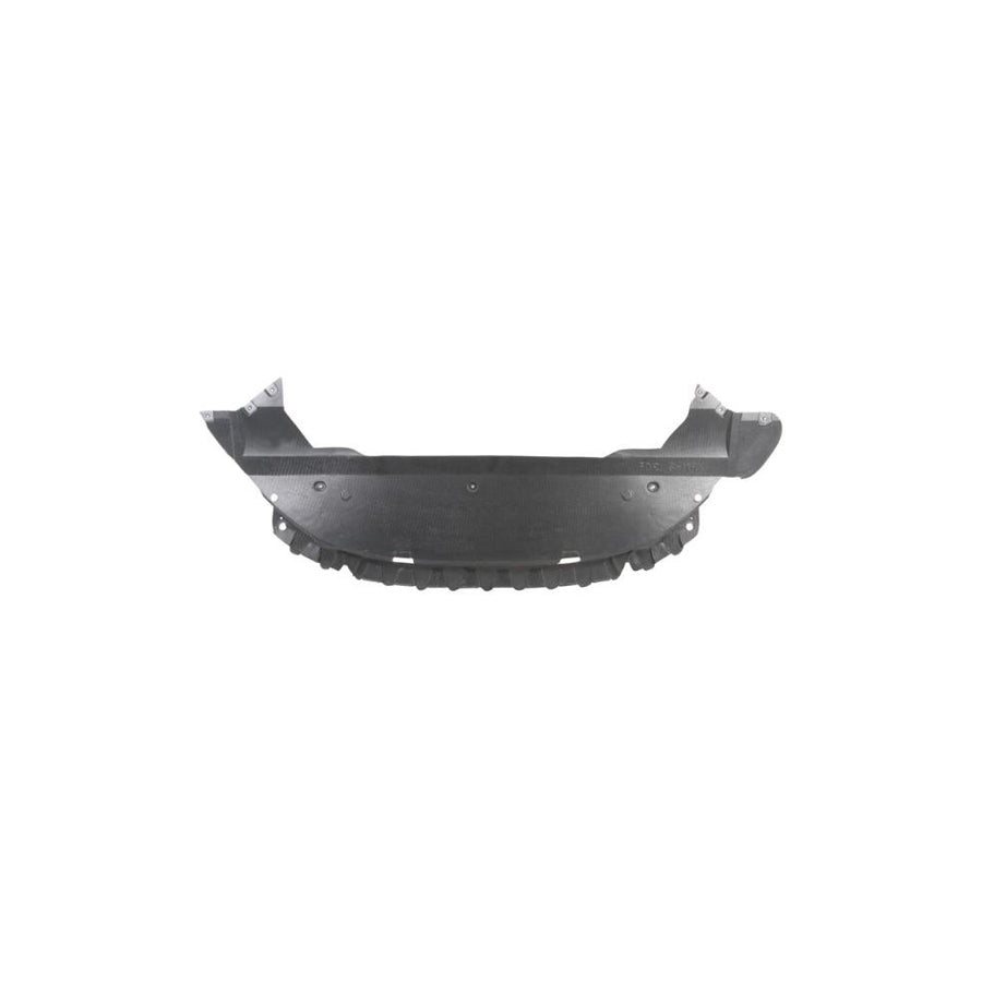 Blic 6601-02-2583880P Skid Plate