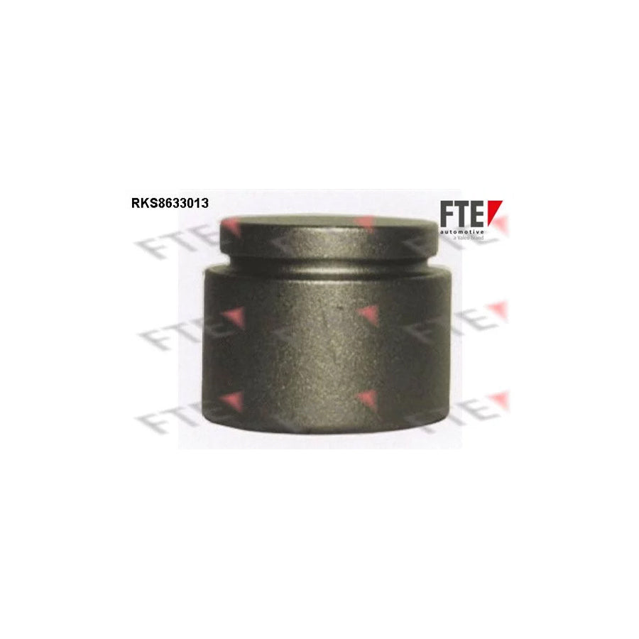 Fte 9313270 Piston, Brake Caliper | ML Performance UK Car Parts