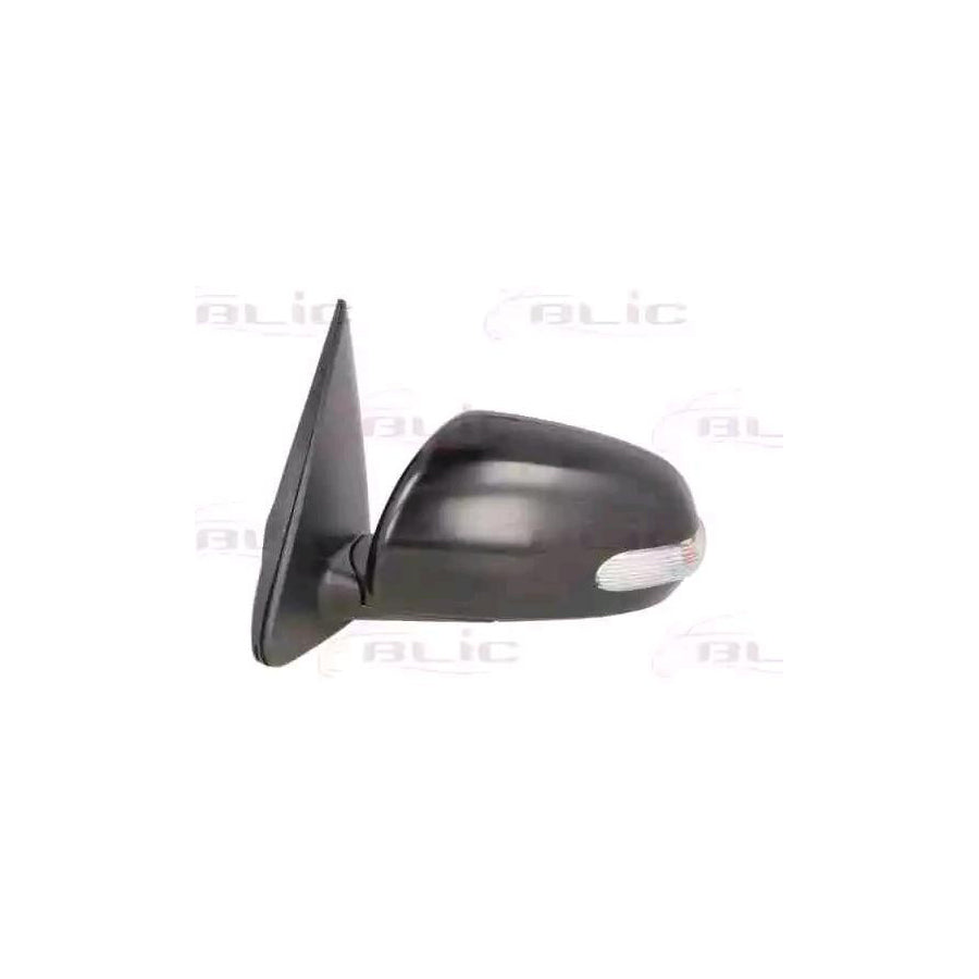 Blic 5402-53-2001507P Wing Mirror