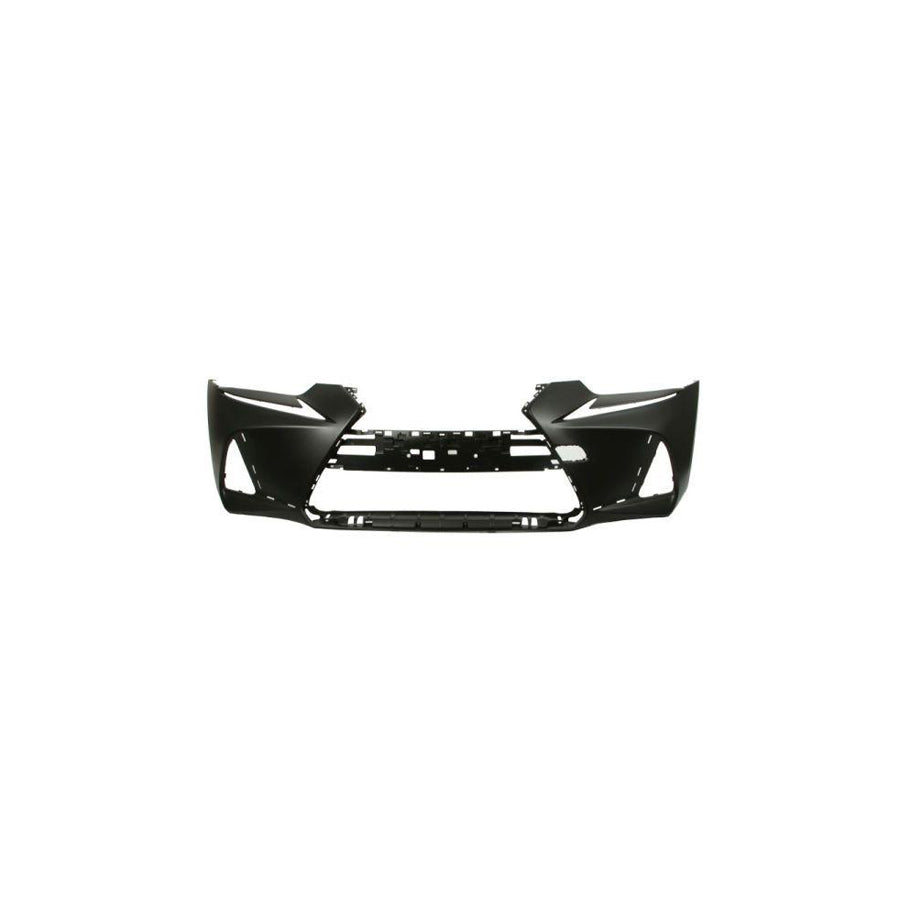 Blic 5510-00-8173901P Bumper