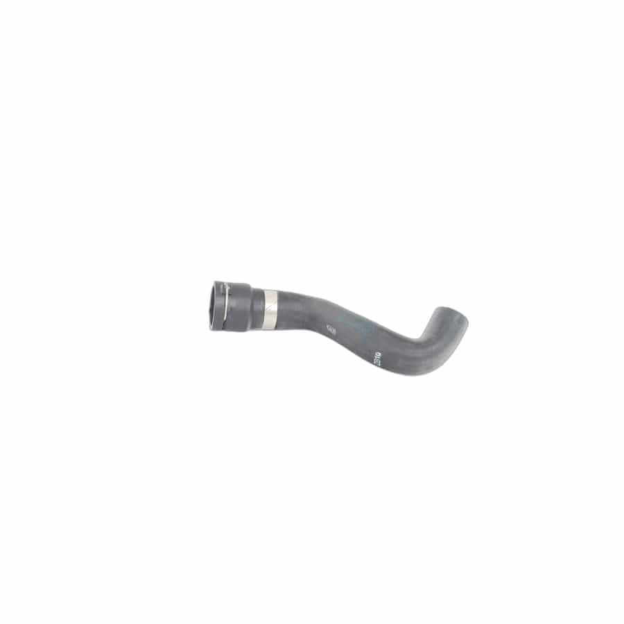 Genuine BMW 64218387521 E39 Hose F Radiator And Engine Return (Inc. M5, 535i & 540i) | ML Performance UK Car Parts