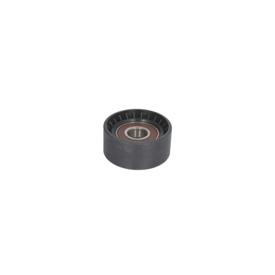 Bta B05-02-041 Tensioner Pulley