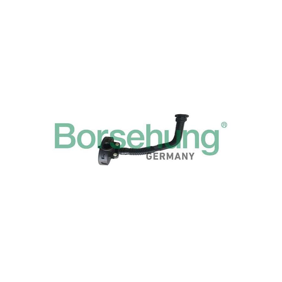 Borsehung B19055 Valve, Engine Block Breather