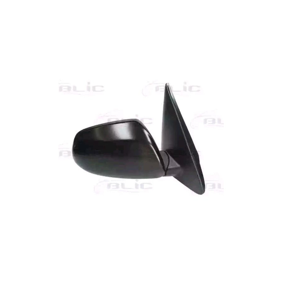 Blic 5402-53-2001506P Wing Mirror