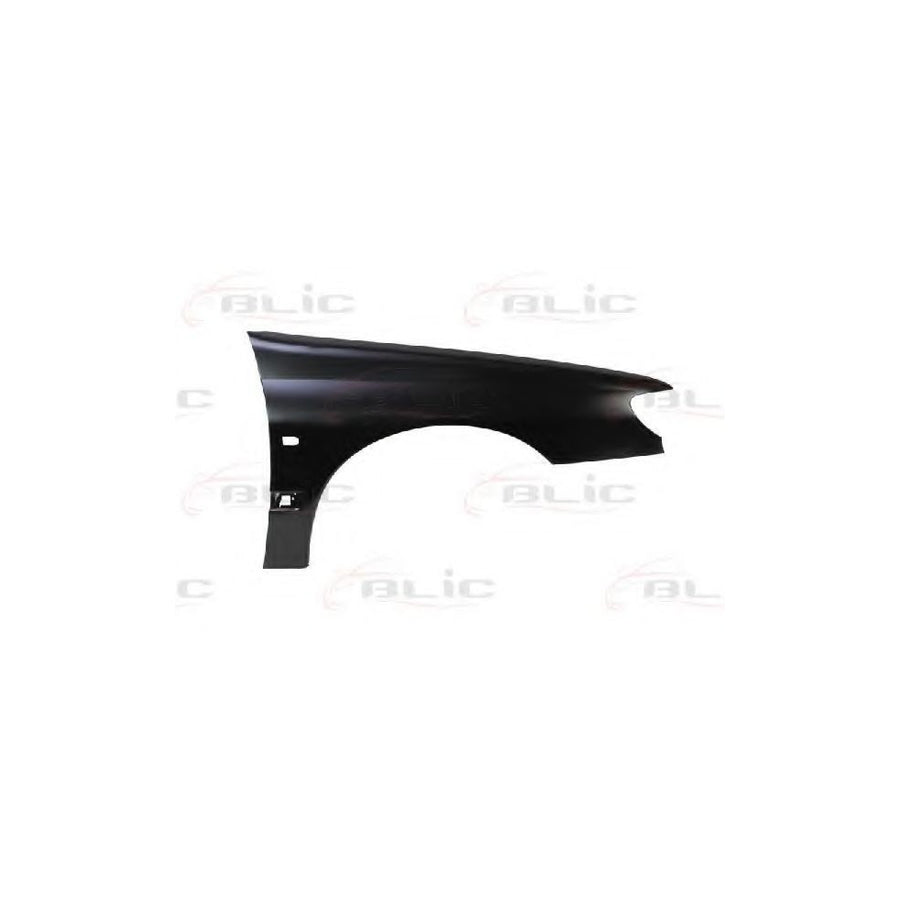 Blic 6504-04-5536314P Wing Fender For Peugeot 406