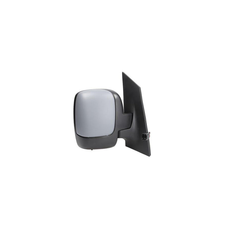 Blic 5402-07-039360P Wing Mirror