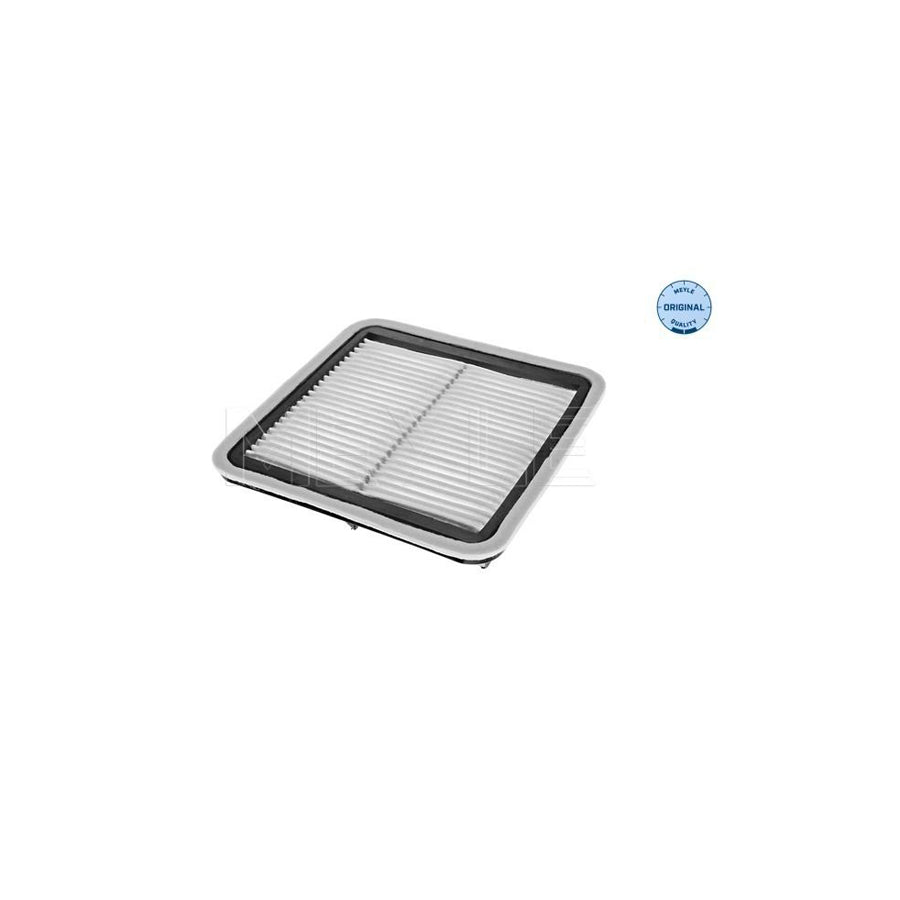 Meyle 34-12 321 0002 Air Filter