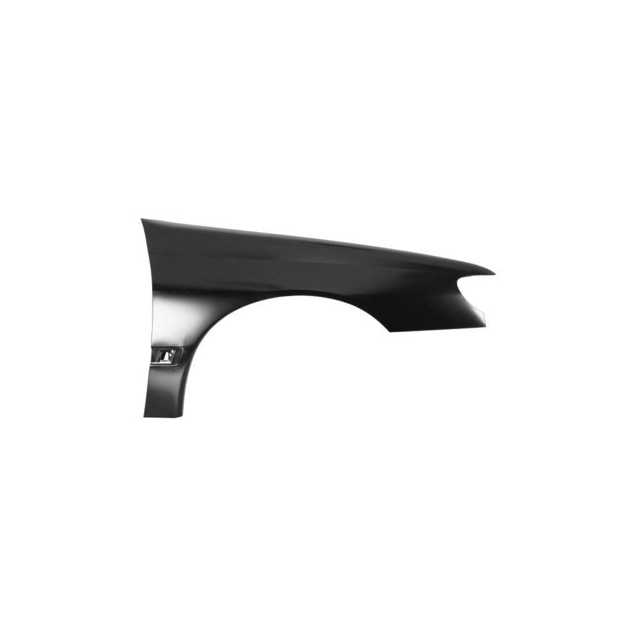 Blic 6504-04-5536312Q Wing Fender For Peugeot 406