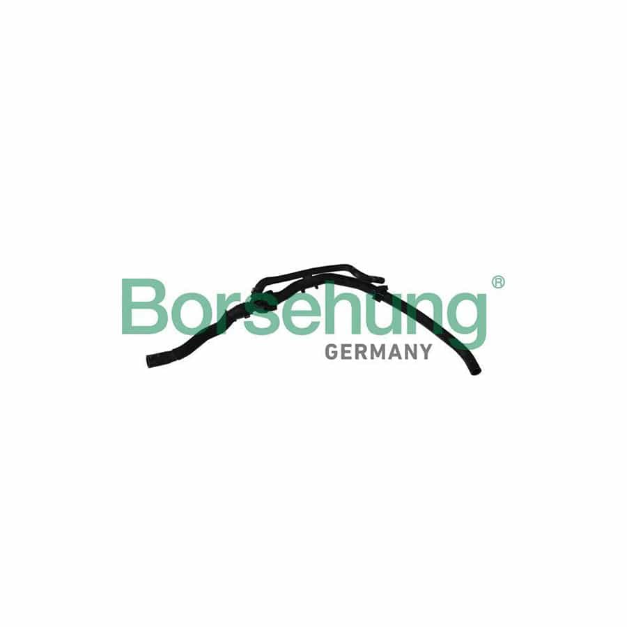 Borsehung B11981 Radiator Hose