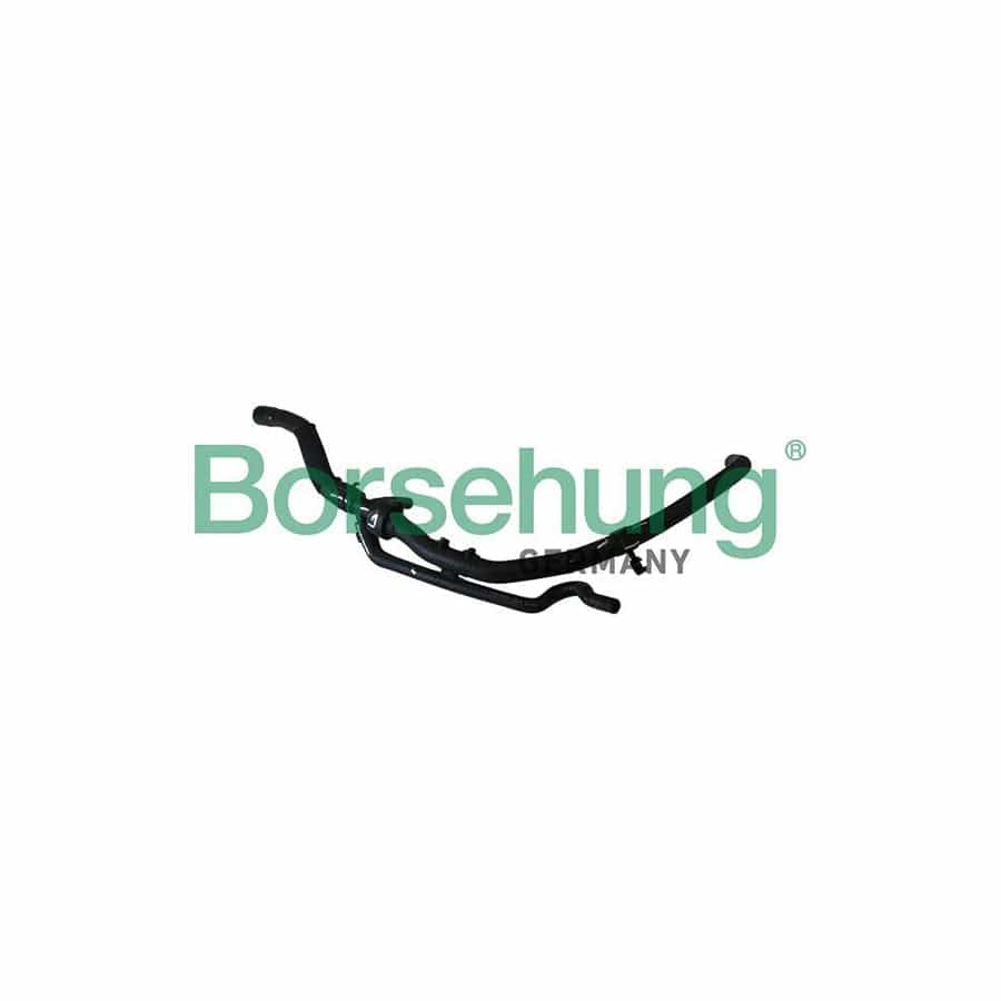 Borsehung B11980 Radiator Hose