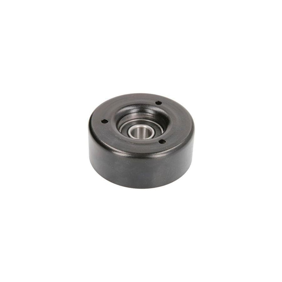 Bta E2M0068BTA Tensioner Pulley