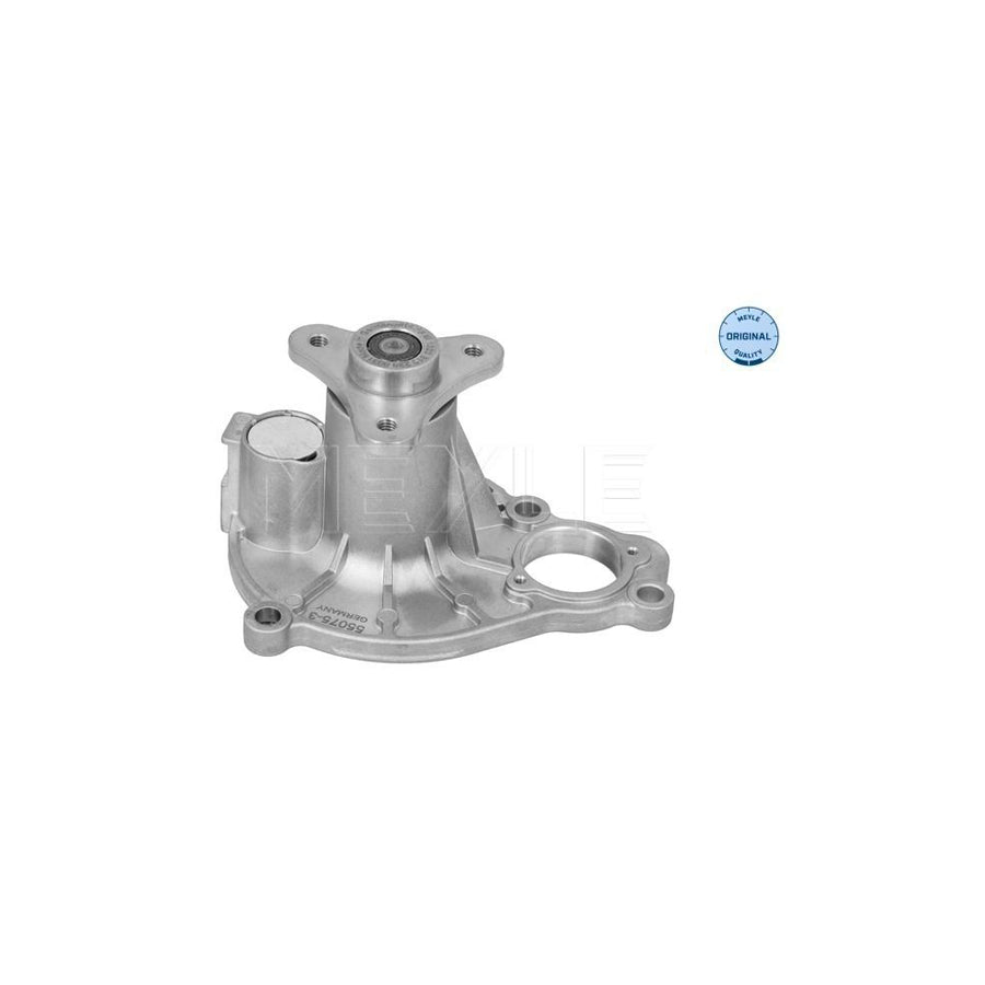 Meyle 313 220 0031 Water Pump