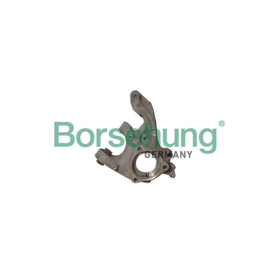 Borsehung B12114 Steering Knuckle For Vw Tiguan Ii (Ad1)