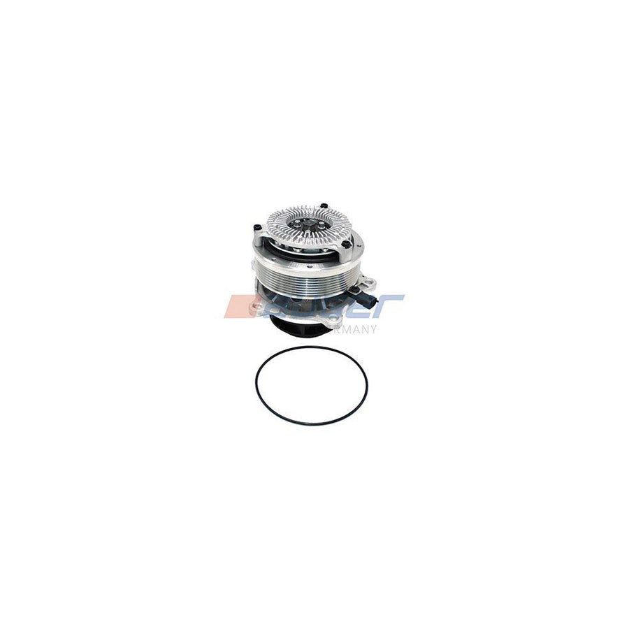 Auger 96156 Water Pump