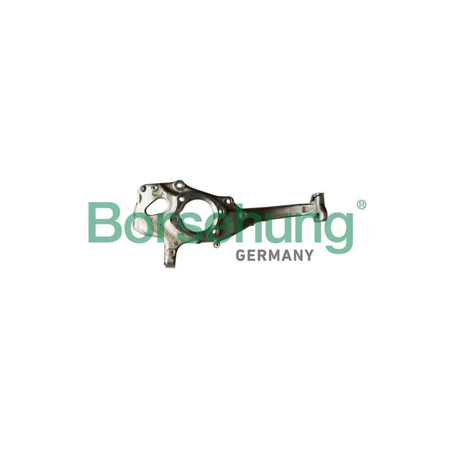 Borsehung B12109 Steering Knuckle