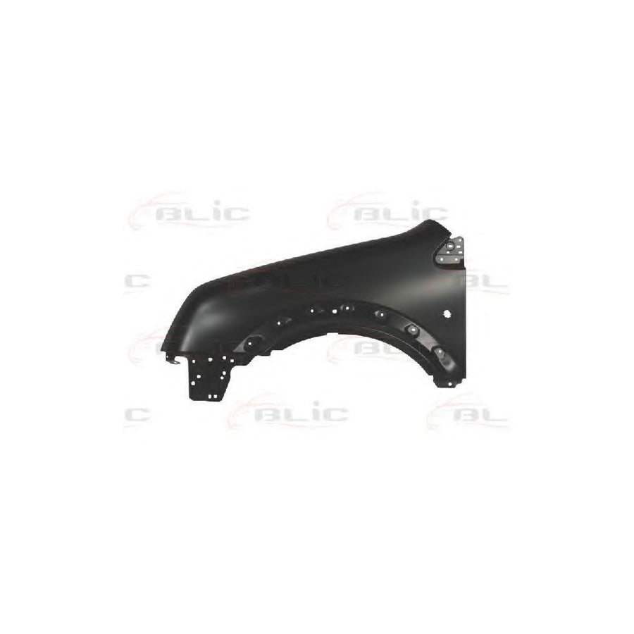 Blic 6504-04-2507313P Wing Fender