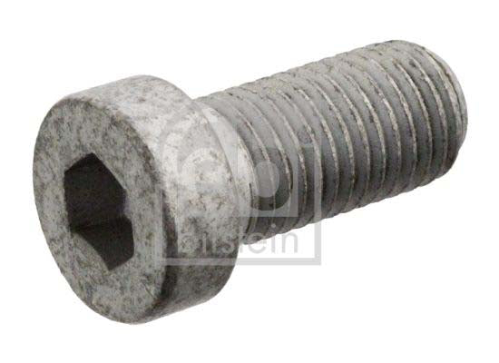 Febi Bilstein 103448 Screw | ML Performance UK Car Parts