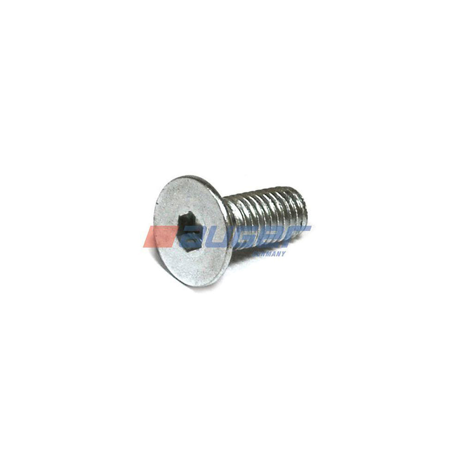 Auger 59289 Screw