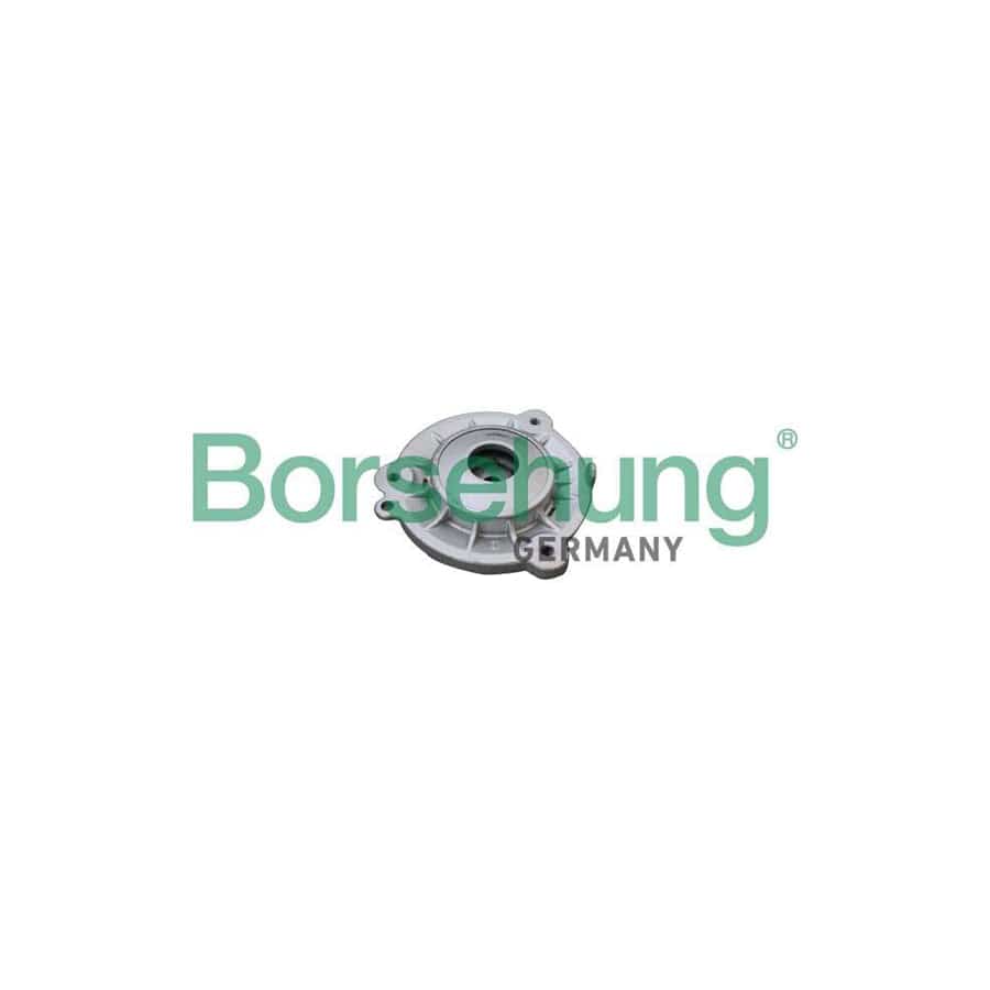 Borsehung B19075 Top Strut Mount