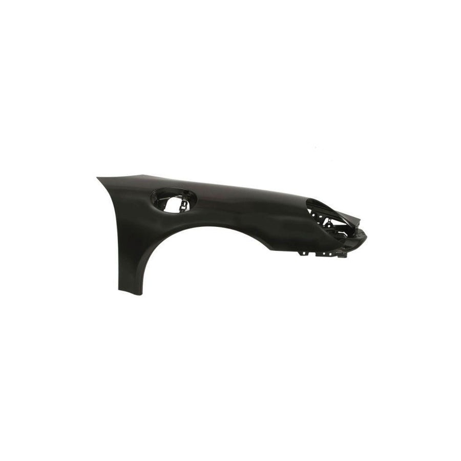 Blic 6504-04-5791312P Wing Fender