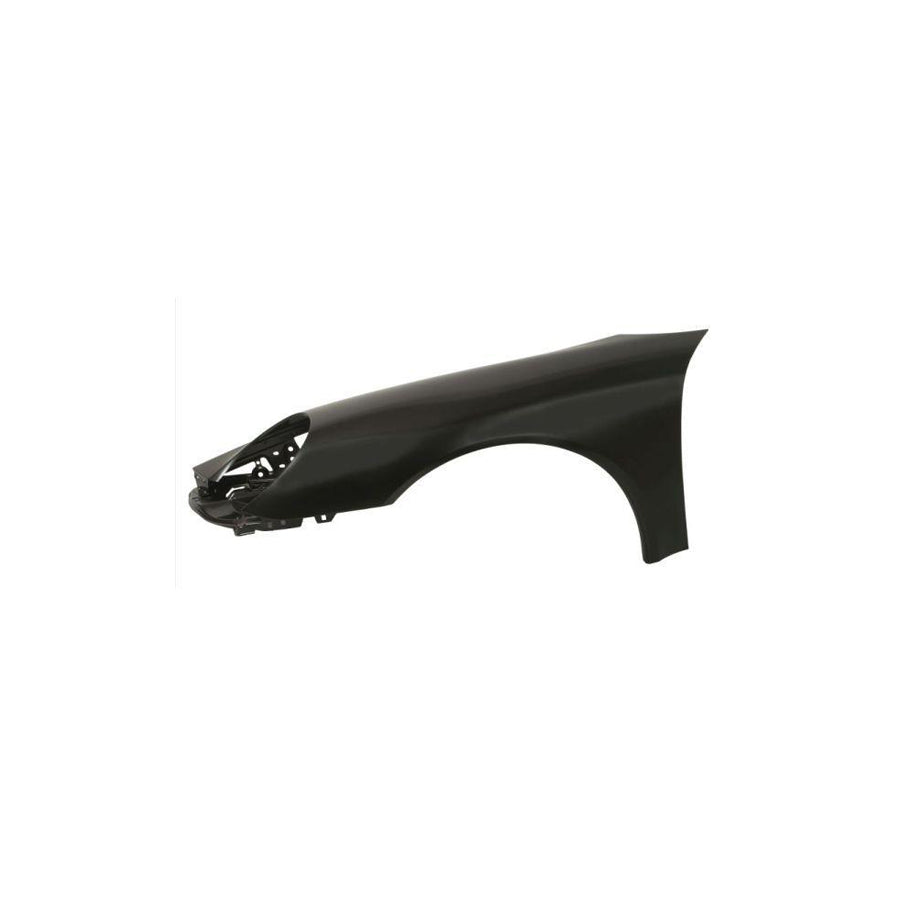 Blic 6504-04-5791311P Wing Fender