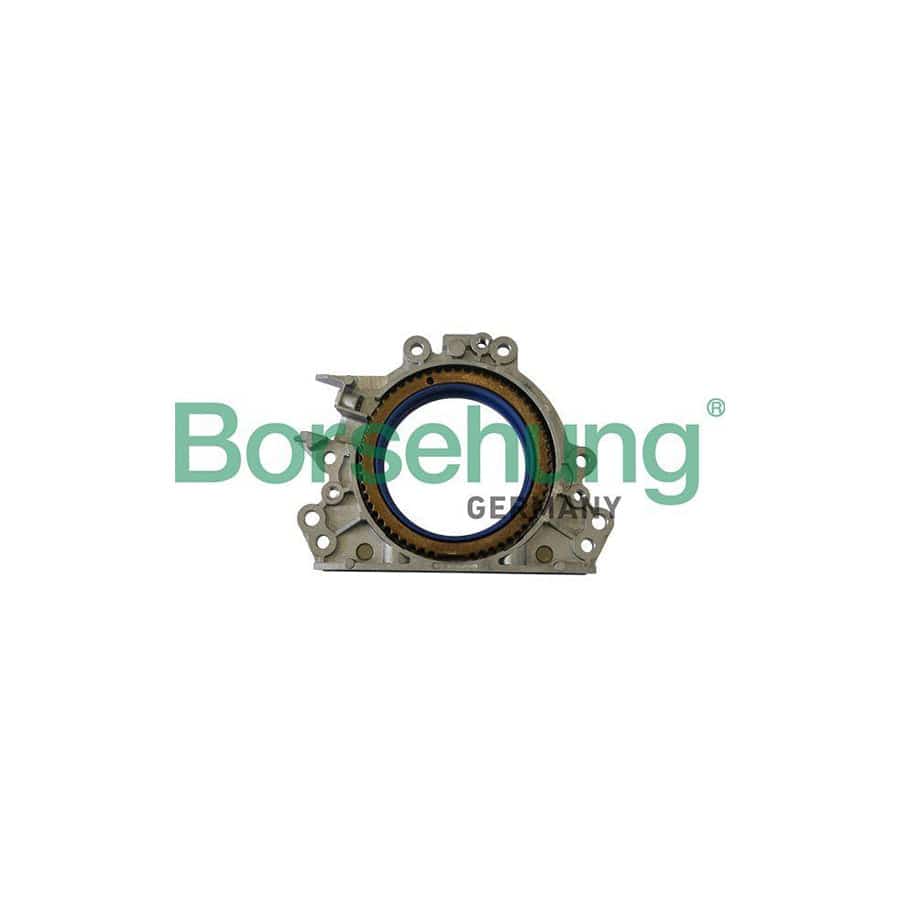 Borsehung B12177 Crankshaft Seal