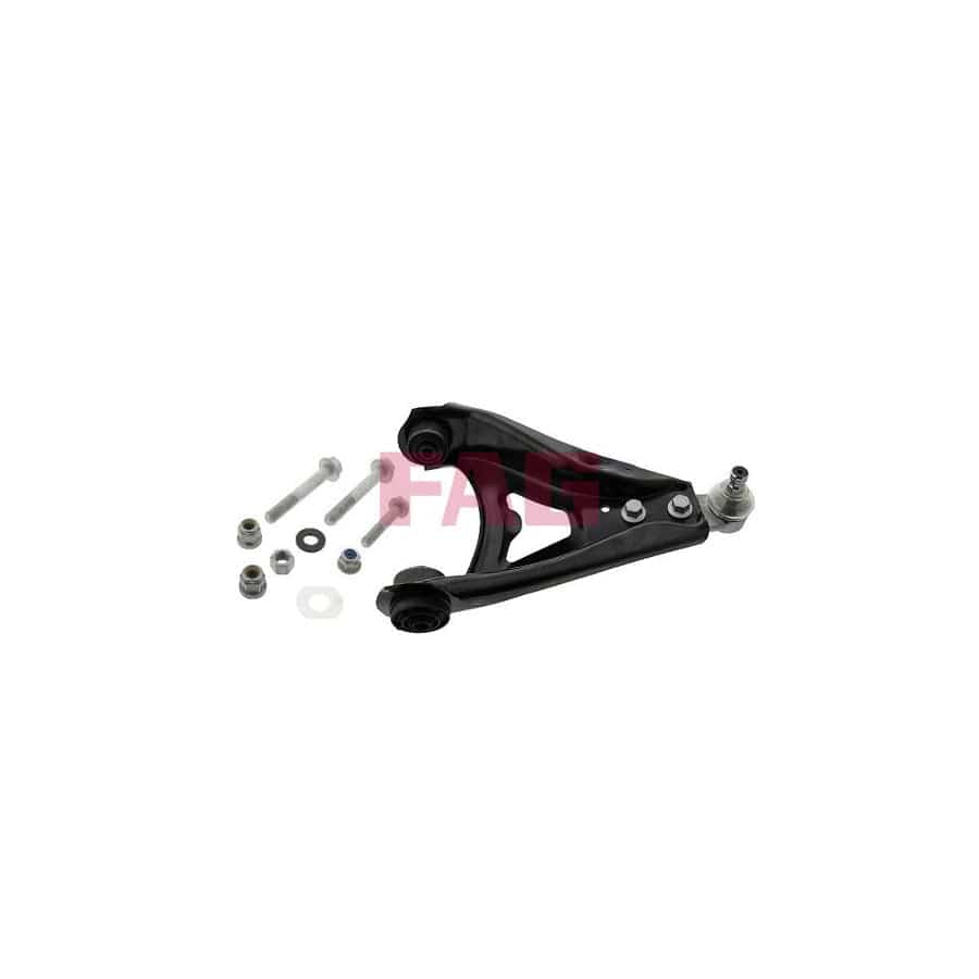 FAG 821 0589 10 Suspension Arm