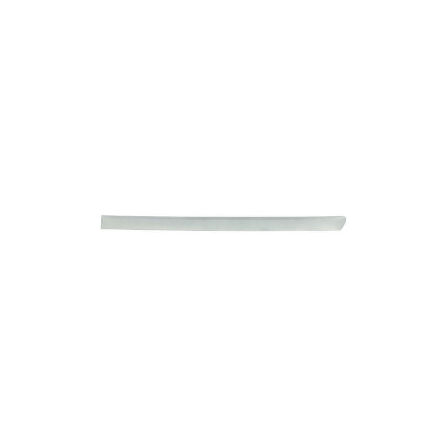 Blic 5703-04-0019577P Door Molding For Audi A4