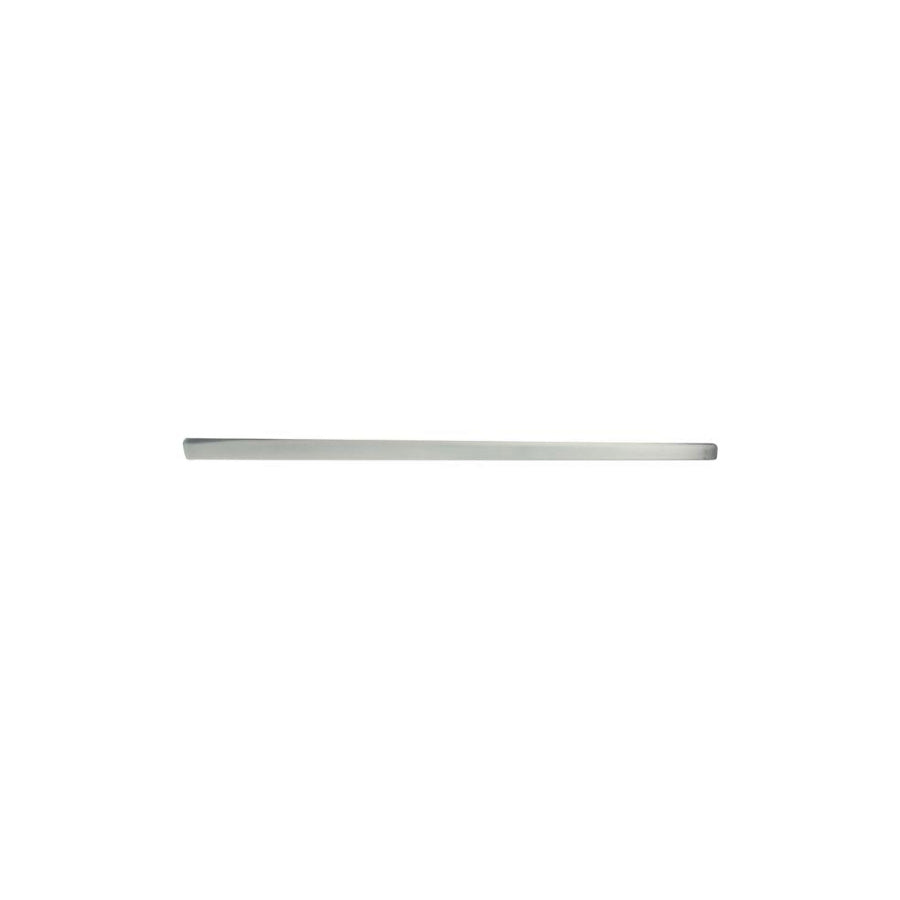 Blic 5703-04-0019576P Door Molding For Audi A4