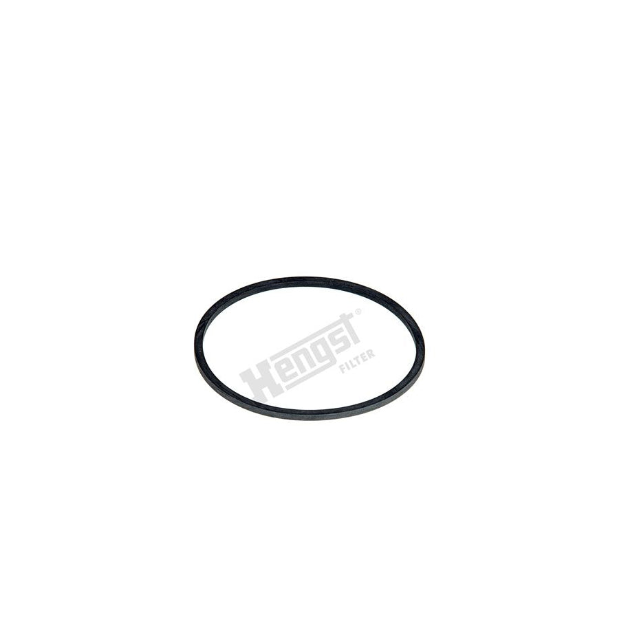 Hengst Filter D10 Gasket / Seal