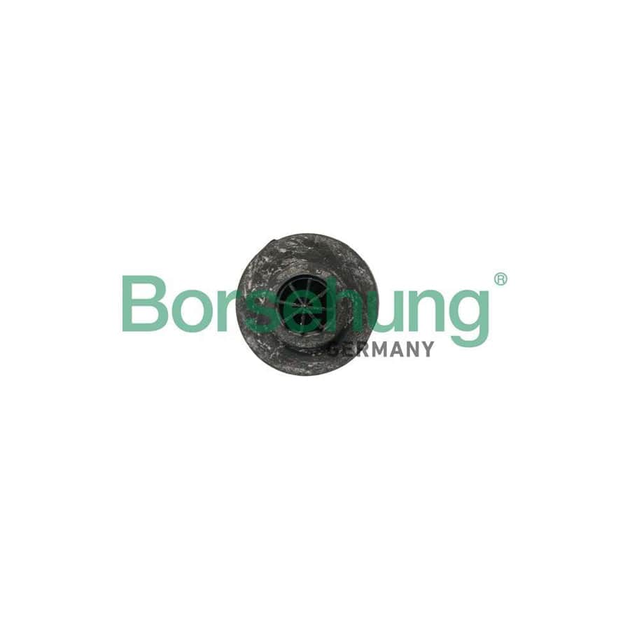 Borsehung B19067 Spring Cap