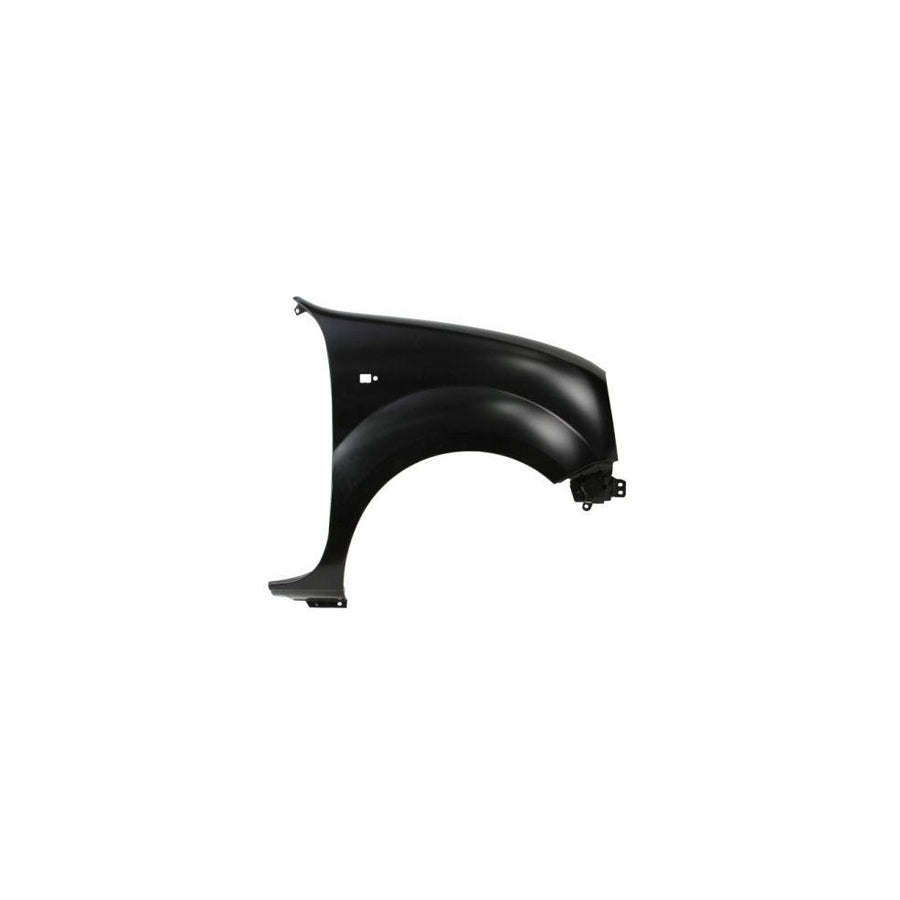 Blic 6504-04-6010312Q Wing Fender For Renault Kangoo