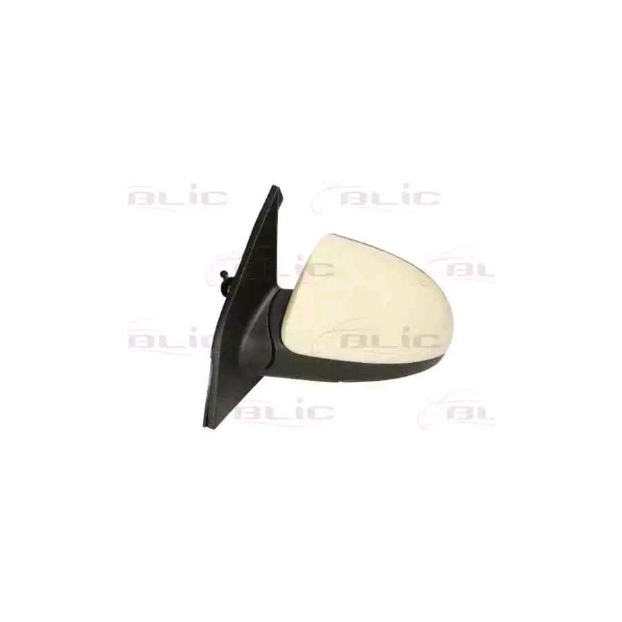 Blic 5402-53-2001519P Wing Mirror For Kia Picanto I (Sa)